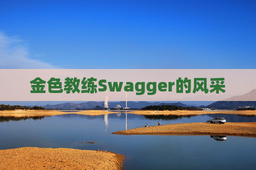 金色教练Swagger的风采